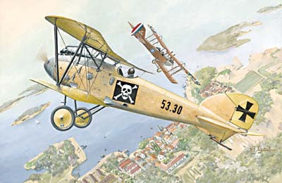 Roden Aircraft 1/72 Albatros D III Oeffag s53 German BiPlane Fighter Kit