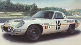 Hasegawa Model Cars 1/24 Mazda Cosmo Sport "1968 Marathon de la Route" Limited Edition Kit