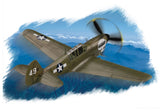 Hobby Boss Aircraft 1/72 P-40N Warhawk Kit