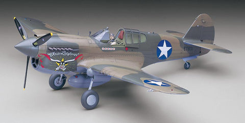 Hasegawa Aircraft 1/32 P40E Texas Longhorn US Fighter Kit