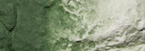 Woodland Scenics Liquid Pigment- Green Undercoat (8 fl. oz.)