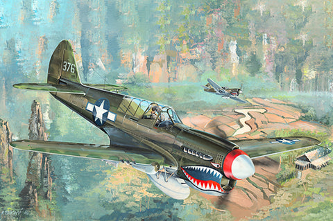 Trumpeter Aircraft 1/32 P40N Warhawk Fighter (New Variant) Kit